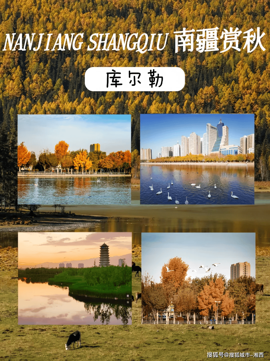 登录南疆人才网网站南疆人才网网站登录指南及体验分享