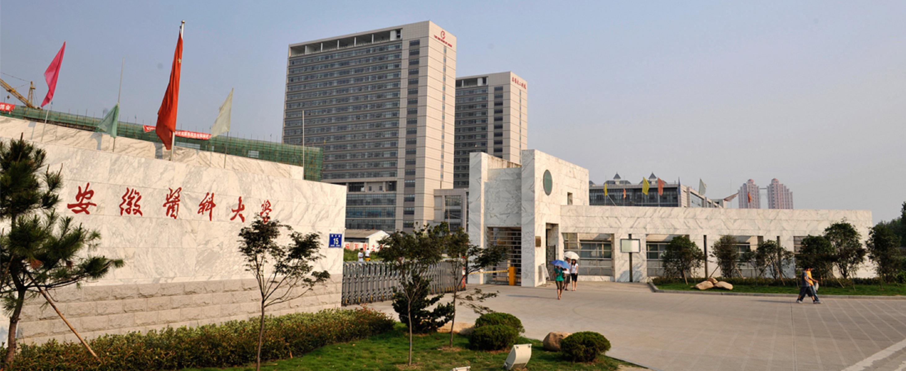 安徽医科大学自学考试网安徽医科大学自学考试网，助力梦想起航的坚实平台